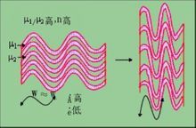 協調褶皺 協調褶皺