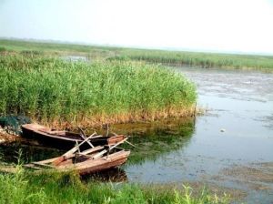 河北衡水湖 河北衡水湖