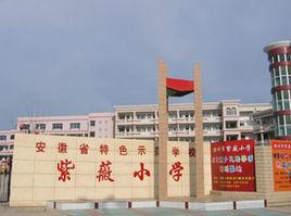 滁州市紫薇國小 滁州市紫薇國小