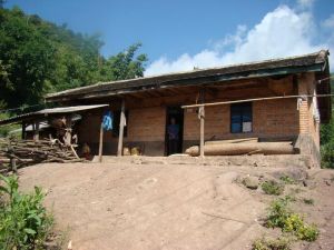 曼旺傣村 曼旺傣村