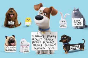 寵物的秘密生活[美國電影]