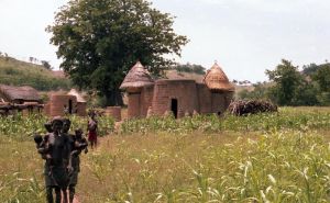 古帕瑪庫景觀 古帕瑪庫景觀