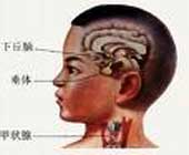 閉經溢乳綜合徵