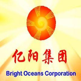 億陽投資有限公司 億陽投資有限公司