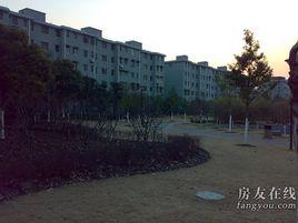 泗塘八村 泗塘八村