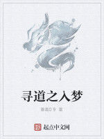 尋道之入夢 尋道之入夢