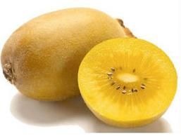 黃心獼猴桃 黃心獼猴桃