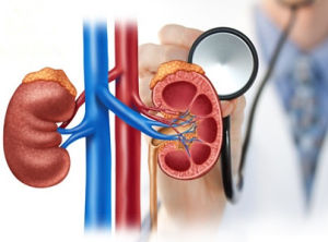 腎功能檢查 腎功能檢查