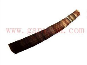 美麗象牙貝 美麗象牙貝