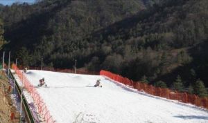 紫柏山國際滑雪場