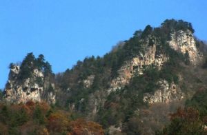 玉泉尖森林公園 玉泉尖森林公園