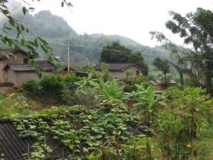 哈里自然村 哈里自然村