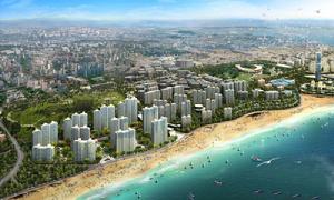 金夢海灣一號 金夢海灣一號