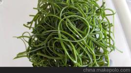 鹽乾海帶 鹽乾海帶