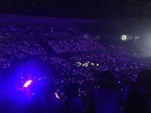 fx——長春花海