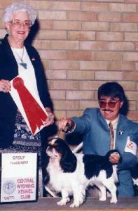 英國玩具獵鷸犬