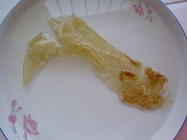 魚膠燉豬肚 魚膠燉豬肚