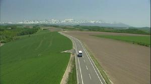 《向牛兒許願》