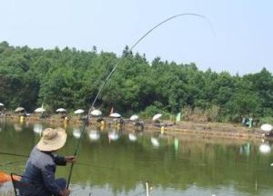 深圳銀湖公園 深圳銀湖公園