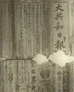 大共和日報 大共和日報