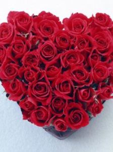 十朵玫瑰 十朵玫瑰