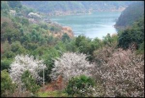 豐梅嶺旅遊風景區 豐梅嶺旅遊風景區