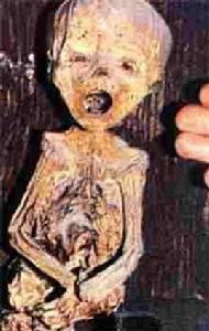 印加兒童木乃伊 印加兒童木乃伊