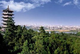 雙墩文化 雙墩文化