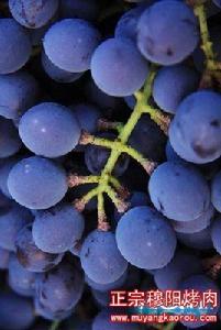 福安穆陽溪塔葡萄 福安穆陽溪塔葡萄