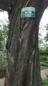 胥家村__西安市藍田縣 胥家村__西安市藍田縣