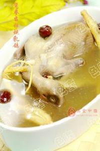 黨參當歸燉乳鴿 黨參當歸燉乳鴿
