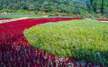 南昌市[江西省省會]