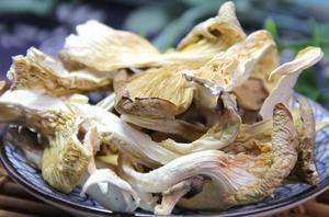 乾吃珍菇寶 乾吃珍菇寶