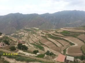 白莊子村 白莊子村