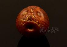 招財鼠 旺財鼠 剝皮後製作的單珠特寫