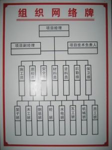 網路組織 網路組織