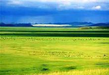 察哈爾右翼後旗