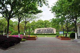 馬橋公園 馬橋公園