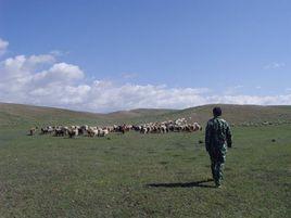 烏圖布拉克村 烏圖布拉克村