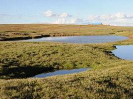 熱融湖塘 熱融湖塘