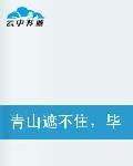 青山遮不住畢竟東流去 青山遮不住畢竟東流去