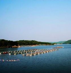 五河縣沱湖漁淝蟹業有限公司 五河縣沱湖漁淝蟹業有限公司