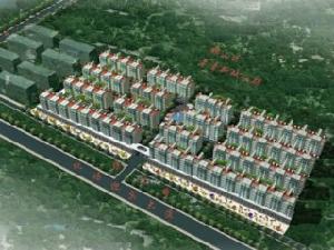 青青新城 青青新城