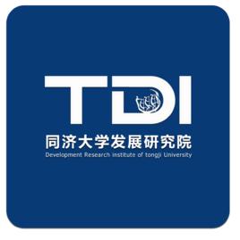 同濟大學發展研究院 同濟大學發展研究院