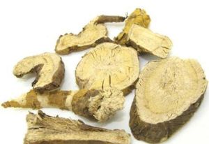 苦參貫眾飲 苦參貫眾飲