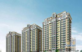 紅星8號 紅星8號