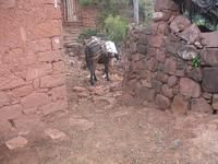 賽羅佐村 賽羅佐村