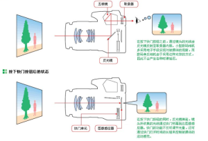 單眼相機的光學成像原理