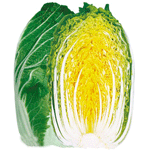 亞洲秋黃芯 亞洲秋黃芯