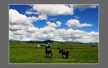 金馬草原 金馬草原